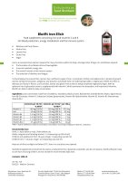 Blutfit Iron Elixir 1000 ml