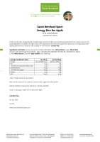 Sanct Bernhard Sport Energy Rice Bar Apple 1000 g
