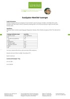 Eucalyptus-Menthol-Lozenges 200 tablets