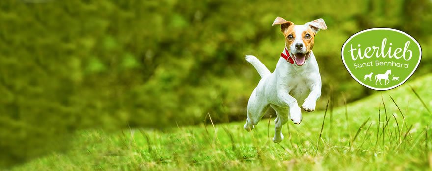 tierlieb for dogs